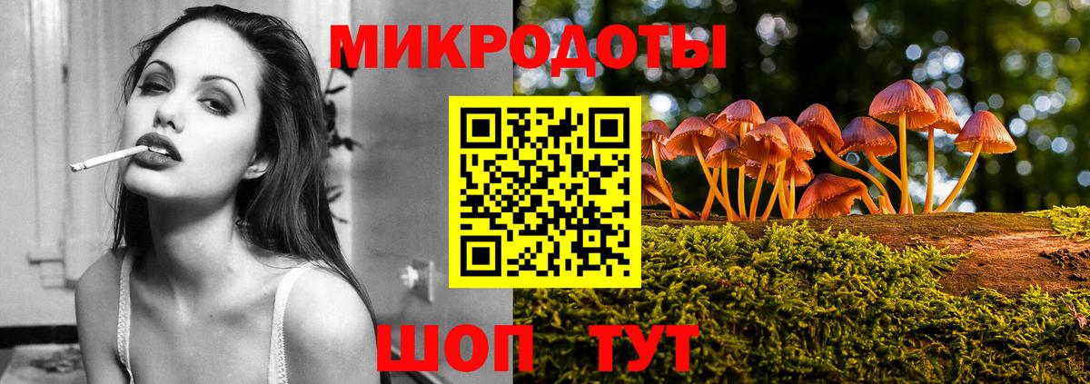 Псилоцибиновые грибы мицелий Гатчина