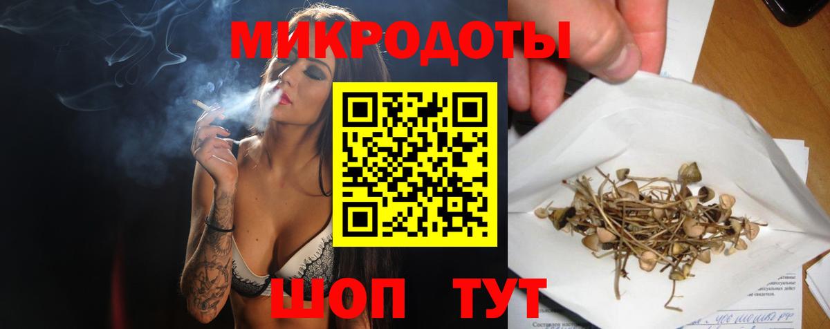 Галлюциногенные грибы мухоморы  Вход с VPN  Гатчина 